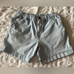 Chubbies Shorts